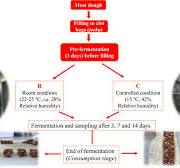 Effect of fermentation conditions on the chemical ...