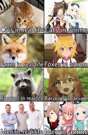 Hol Up Theyre Guys Best Funny Pictures Anime Guys