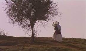 Zeytin ağaçları altında yönetmenin başka bir filmi için oyuncu seçmeye çalışmasının anlatıldığı bir filmdir. Through The Olive Trees 1994