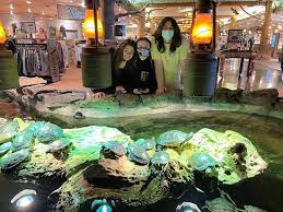 Featuring everything from salt water and freshwater aquariums, indoor waterfalls, live. Bass Pro In Springfield Missouri Is Huge Bild Von Bass Pro Shops Outdoor World Springfield Tripadvisor