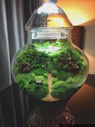 Absolutely Free Popular Closed Terrarium Ideas Layout Closed Terrarium Plants Terrarium Succulent Terrarium