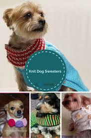 Dog onesie, hand knit dog overall, yellow dog sweater, dog clothes, pet clothing, dog pullover, turtleneck sweater, cabled dog sweater handknit from very soft warm yarn. Knitting For Pets 22 Knit Dog Sweaters Allfreeknitting Com