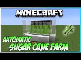 Minecraft Full Auto Sugar Cane Farm Tutorial 1 13 Youtube Minecraft Automatic Farm Minecraft Farm Minecraft Blueprints
