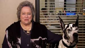 Holiday Film Reviews The Office St Patrick S Day The Office Good Girls Revolt Anna Camp