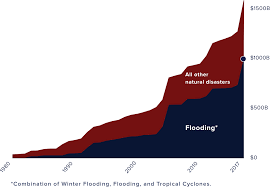 Congress has the twofold purposes of the nfip to share the risk of flood losses through flood insurance and to reduce. Understanding Fema Flood Maps And Limitations First Street Foundation
