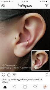 87cc3cd54e2bc58e3d6c3bef0cd4d203 Png 750 1 334 Pixels Earings Piercings Ear Piercings Cute Ear Piercings