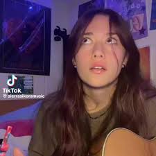 Adam Screeney V Wexford