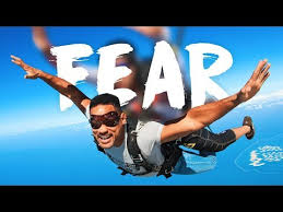 We did not find results for: Whizolosophy What Skydiving Taught Me About Fear