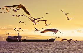 التصوير الفوتوغرافي الرائع للطبيعة الساحرة Hd In 2020 Wonders Of The World Picture Places Nature