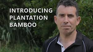 NZ's Only Specialist Supplier Of Bamboo Flooring, Decking, Panels