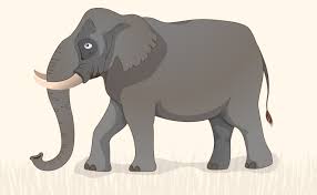 List of surahs in quram with meanings in english. Surah Dalam Al Qur An Yang Dinamai Dengan Nama Hewan Dan Penjelasannya