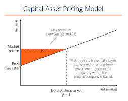 What Is Capm Capital Asset Pricing Model Formula Example