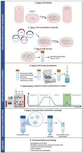 Image result for Blue 1998 AAV