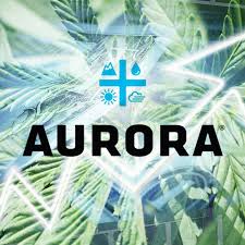 In part, the cautious acceptance has to do with abdul hamid dbeiba, the man chosen, after a surprise vote, to serve as interim prime minister. Aurora Cannabis Lost More Than C 3 Billion In A Chaotic Year And The Stock Is Falling Marketwatch