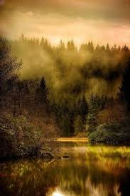 Find and download the best free scenic landscape pictures and royalty free stock images. 350 Scenic Landscapes Ideas In 2021 Scenic Scenic Landscape Landscape