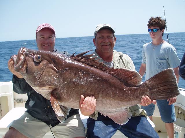 Virginia Snow | Healthy Grin Sport Fishing