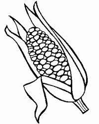Someone you know has shared corn cob coloring page coloring sheet with you: Indian Corn Coloring Page Coloring Home