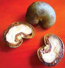 Types of nuts in shells. From Cashew Nut Shell Wastes To High Value Chemicals