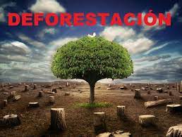 La deforestación es la tala o destrucción de árboles de un bosque o selva. La Deforestacion Steemit