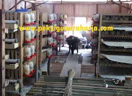Maybe you would like to learn more about one of these? Lokasi Kandang Puyuh Yang Tepat Menentukan Keuntungan Yang Didapat