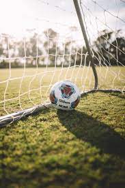 We did not find results for: Football Wallpapers Free Hd Download 500 Hq Unsplash