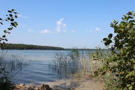 Das moderne weißrussland und seine natur tierische ressourcen der natur von belarus die republik belarus, deren natur sehr malerisch ist, ist ein osteuropäischer staat und grenzt. 80 Kostenlose Weissrussland Belarus Fotos