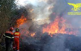 A riportare la notizia è infocilento. Sardegna Oggi 18 Incendi Nelle Campagne Dell Isola Ogliastra Vistanet