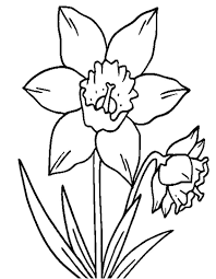 Disegni da colorare fata su un prato in fiore. Disegni Fiori Bambini Coloring And Drawing