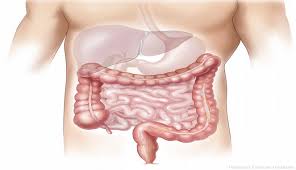 Check spelling or type a new query. Awas Ini 6 Tanda Organ Usus Anda Bermasalah Arbamedia Com