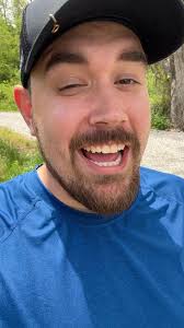 How to get rid of flies