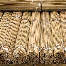 Bamboo stakes are economical to use for supporting plants and tree guards. Bamboo Canes Garden Canes Bamboo Garden Canes Gardeners Dream