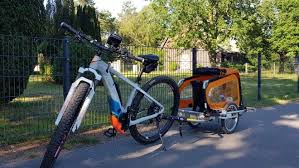 Gefederter Hundeanhanger Luxus Pur Oder Unnotiger Quatsch Der Doggytourer Im Hartetest Hundeanhanger Fahrrad Hundetransport Lastenfahrrad