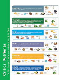 Image result for Nutrition Guidelines