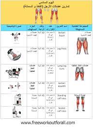 جدول تمارين كمال الاجسام 5 ايام و نظام workout routine for men workout schedule gym schedule