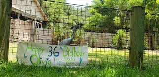 Cheers to another year 🎂...