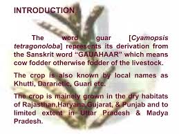 Image result for Cyamopsis serrata