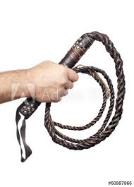 male hand holding brown leather whip isolated on white backgroun - Buy this  stock photo and explore similar images at Adobe Stock | Adobe Stock