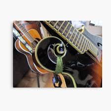 E dont need no long haired lady to love me true as true. Martin Guitar Canvas Prints Redbubble