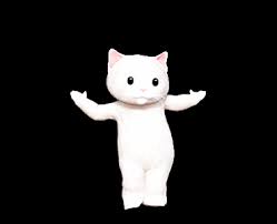 Dancing White Cat Gif Cat Gif Cute Cat Gif Kitten Gif