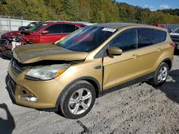 Image result for Karat Gold 2014 Escape