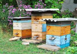 A beehive at home brings your garden to life as the bees pollinate your plants for optimum yield. Why Backyard Beekeeping Is Good For You And Your Home Homes Com