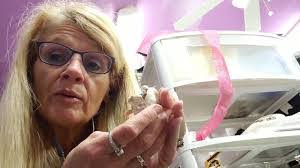 Erin Elms's Instagram, Twitter & Facebook