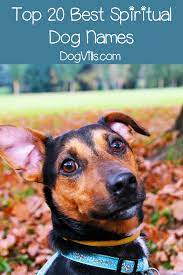 Because radon is a silent killer, it is one of the best mean female dog names. Top 20 Best Spiritual Dog Names Dogvills
