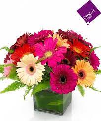 Pin On Valentine S Day