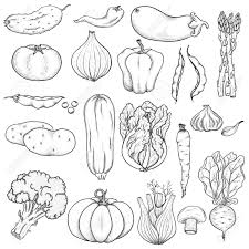 Clipart Vegetables Black And White Google Search How To Draw Hands Jesus Art Drawing Vegetable Drawing