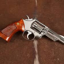 Image result for Brown 1983 Colt