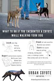 Remember, the more they become habituated with humans, the harder it will be for you to keep them out. We Live In An Area Where Animal Clinic Of Poplar Grove Facebook