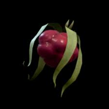 Image result for Raspberry 1993 Shadow