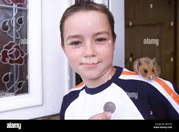 Paying animals hi-res stock photography and images