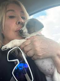 🚩PLEASE READ AND SHARE FAR AND WIDE TO SAVE THIS BETRAYED SENIOR 🚩 Elias  Klaras Deborah Bolick Stewart Robin Miller Heatherjoy Klein Sheri Kline  Tinguirlis Heather Larson Jennifer Petefish Brenda Beeler Renee